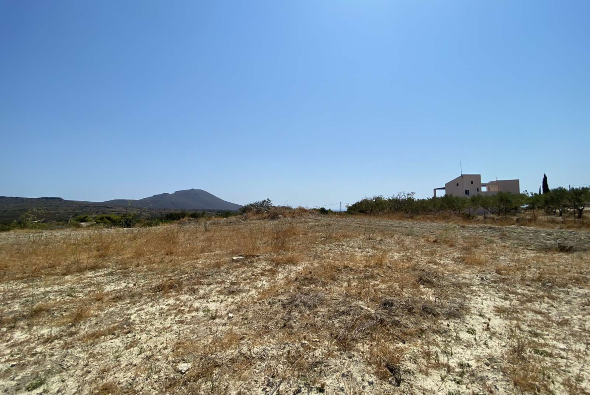 Buildable Land in Palaiopolis Kythera