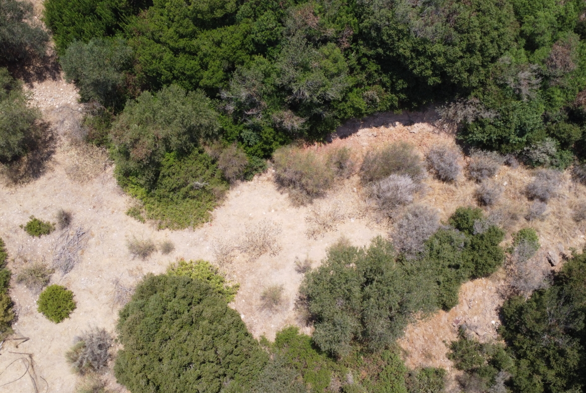 Buildable Plot in Logothetianika, Kythera