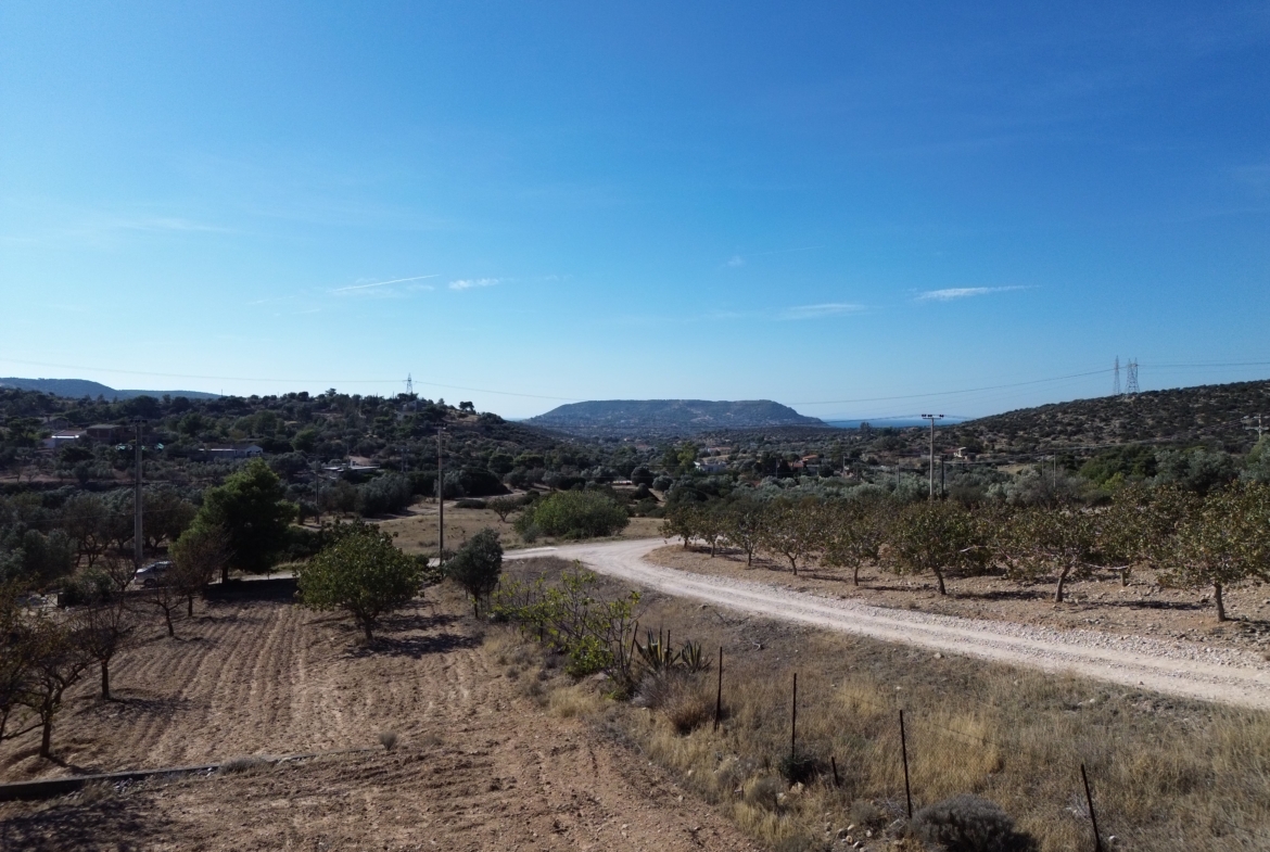 Parcel with sea view in Koropi, Attica