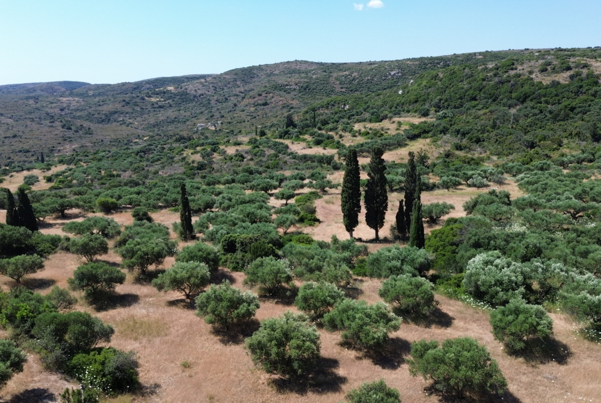 plot-for-sale-kythera-viaradika-fyrrogi-07-scaled.jpg