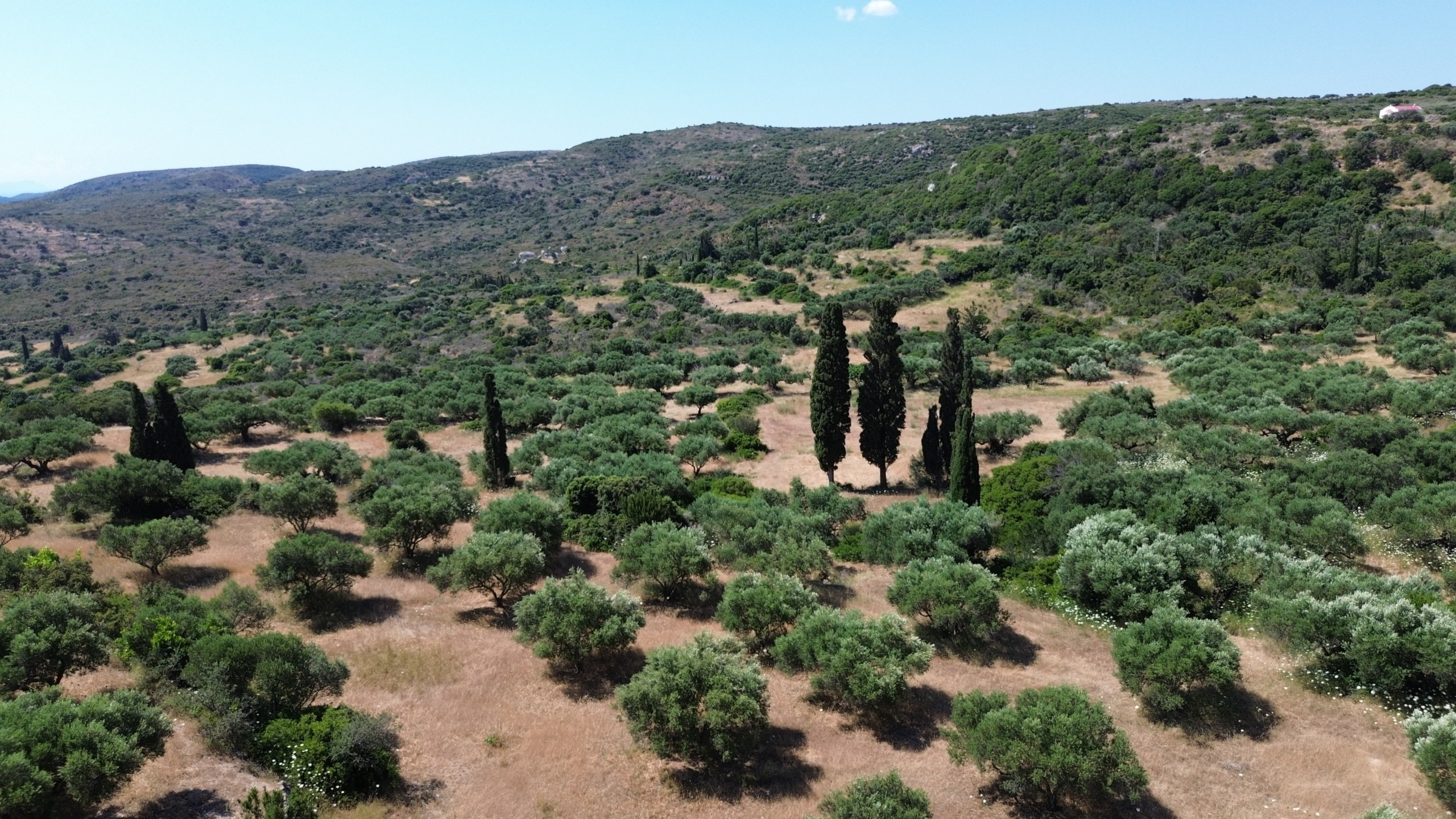 plot-for-sale-kythera-viaradika-fyrrogi-07-scaled.jpg